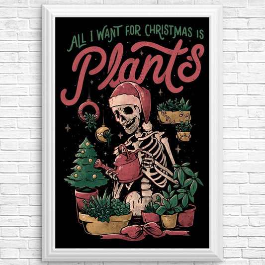Christmas Plants - Posters & Prints