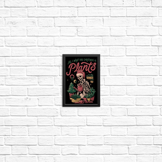 Christmas Plants - Posters & Prints