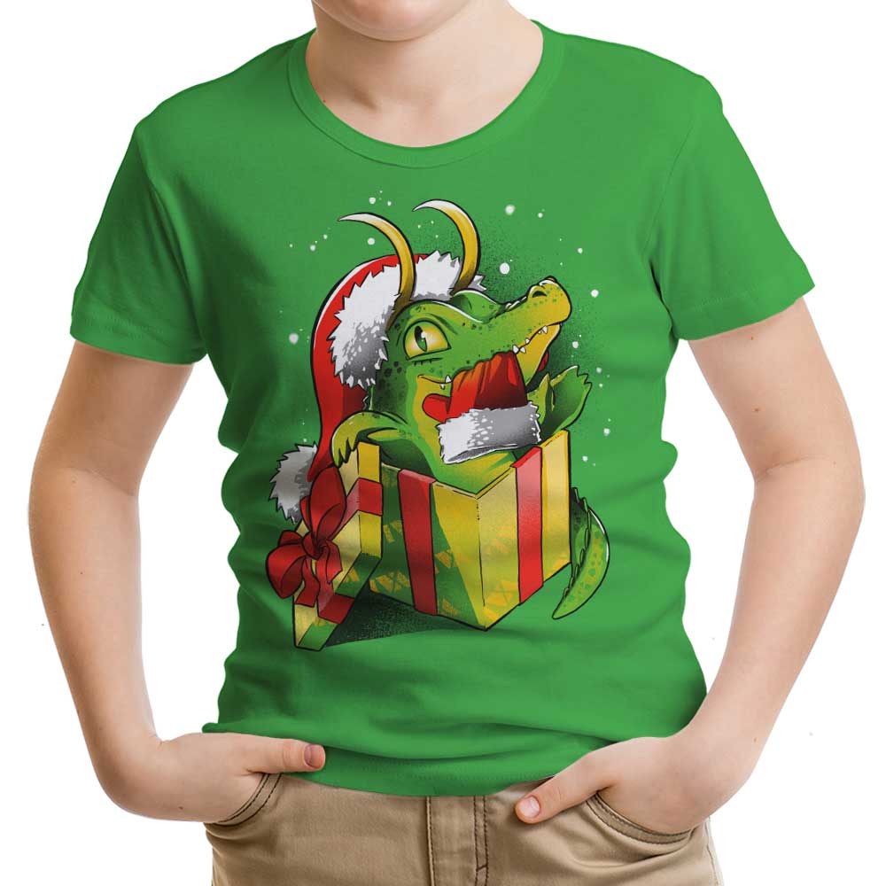 Christmas Variant - Youth Apparel
