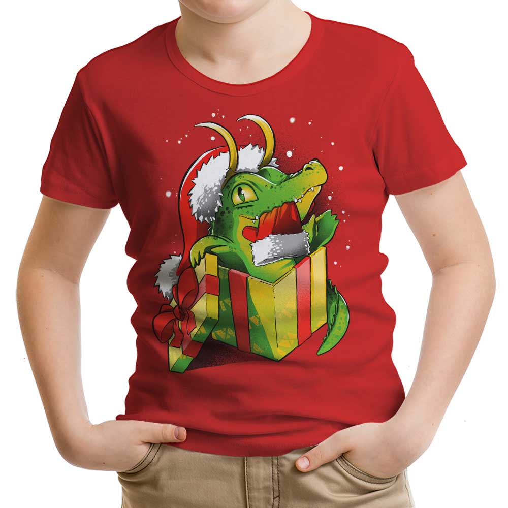 Christmas Variant - Youth Apparel