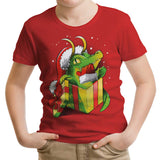 Christmas Variant - Youth Apparel