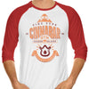 Cinnabar Island Gym - 3/4 Sleeve Raglan T-Shirt
