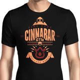 Cinnabar Island Gym - Men's Apparel
