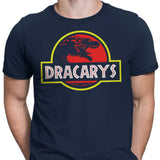 Dracarys Park - Men's Apparel