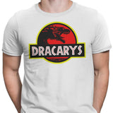 Dracarys Park - Men's Apparel