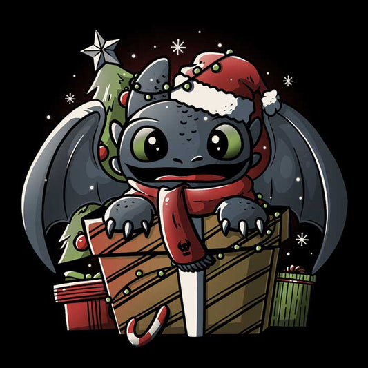 Dragon Gift - Coasters