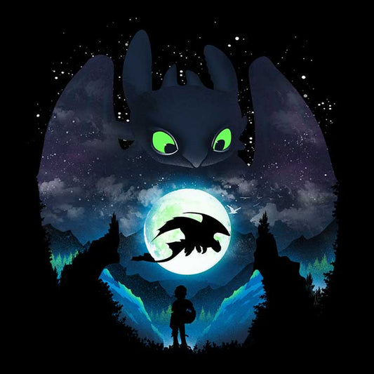 Dragon Sunset - Coasters