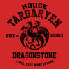Fire and Blood (Alt) - Youth Apparel