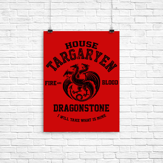 Fire and Blood (Alt) - Poster