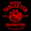Fire and Blood - Hoodie