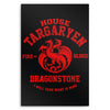 Fire and Blood - Metal Print