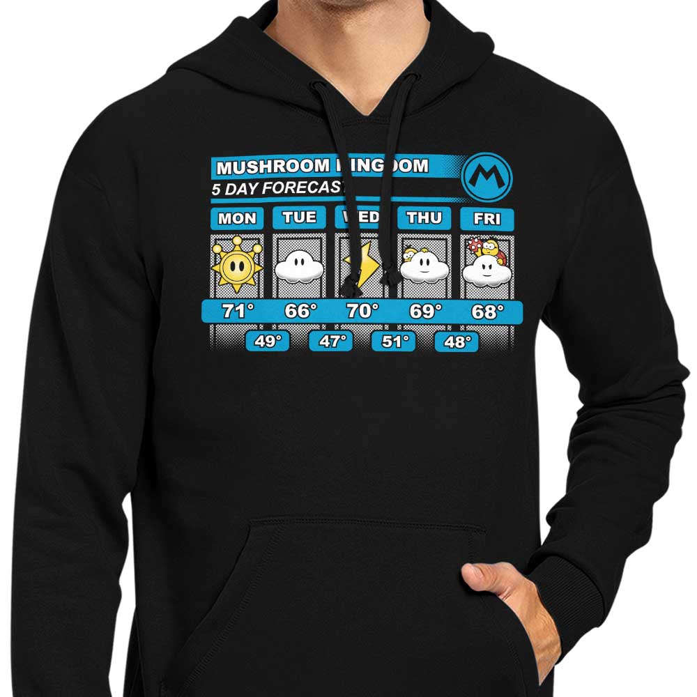 Five Day Forecast - Hoodie