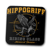 Hippogriff Riding Class - Coasters