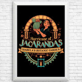 Hurricane of Jacarandas - Posters & Prints