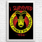 I Survived Little China - Posters & Prints