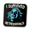 I Survived Netherworld - Coasters