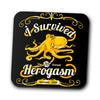 I Survived the Hero Gathering - Coasters