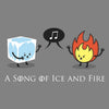 Ice and Fire Duet - Canvas Print