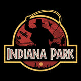 Indiana Park - Fleece Blanket