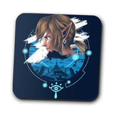 Into the Wild - Coasters