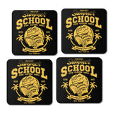 Jurassic Summer School - Coasters