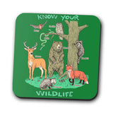 Know Your Wildlife - Coasters