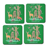 Know Your Wildlife - Coasters