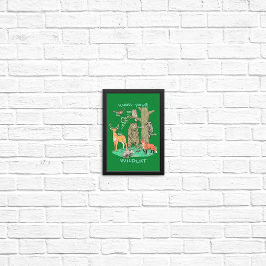 Know Your Wildlife - Posters & Prints