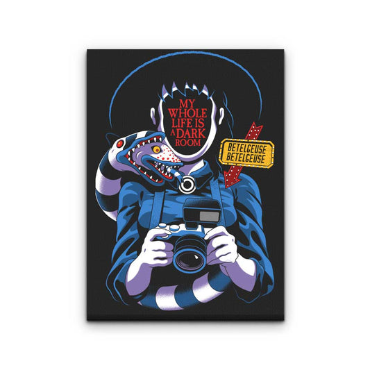 Life is a Dark Room - Canvas Print