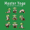 Master Yoga - Metal Print