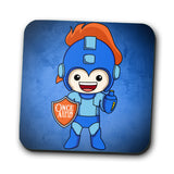 2021 - Teerion Coasters