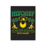 Mischief Gym - Canvas Print
