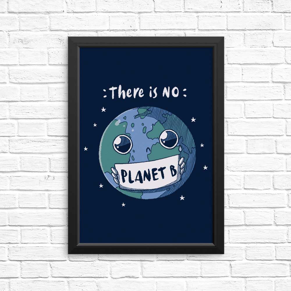 No Planet B - Posters & Prints