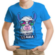 No Probllama - Youth Apparel