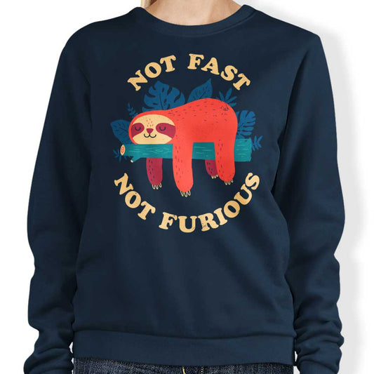 Not Fast, Not Furious - Sweatshirt