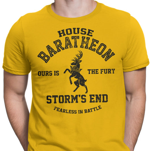 Ours is the Fury (Alt) - Men's Apparel