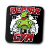 Reptar Gym - Coasters