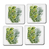 Save the Amazon - Coasters