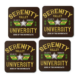 Serenity Valley University - Coasters