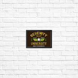 Serenity Valley University - Posters & Prints