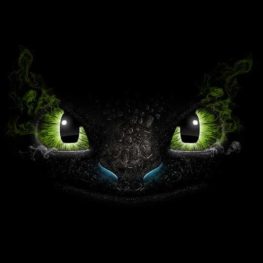 Shadow Fury - Coasters