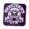 Shredder's Gym - Coasters