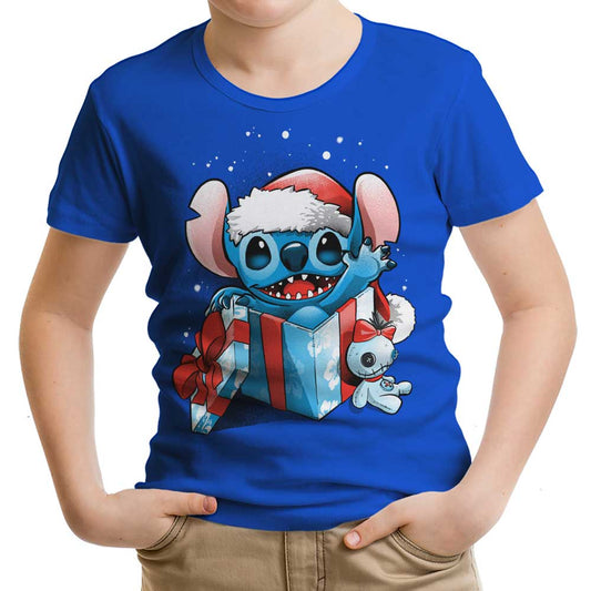 The Christmas Experiment - Youth Apparel