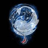 The Last Starry Dragons - Coasters