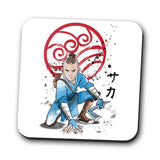 The Power of the Boomerang - Coasters