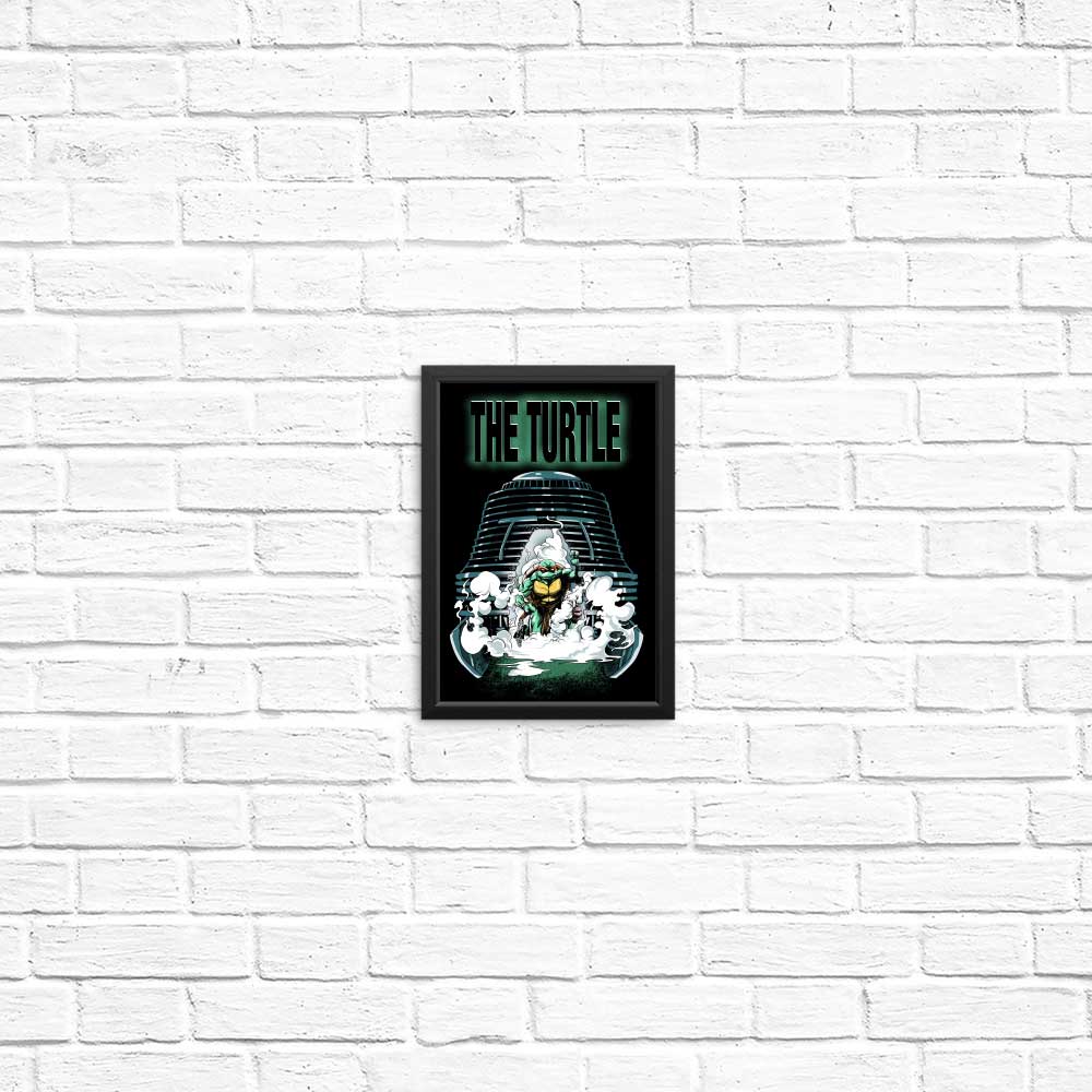 The Turtle - Posters & Prints