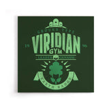 Viridian City Gym - Canvas Print