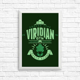 Viridian City Gym - Posters & Prints