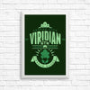 Viridian City Gym - Posters & Prints