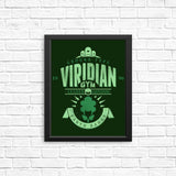 Viridian City Gym - Posters & Prints